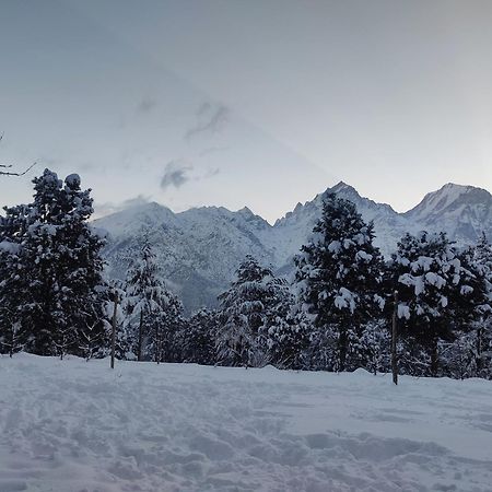 Silk Route Home Stay Kalpa Dış mekan fotoğraf