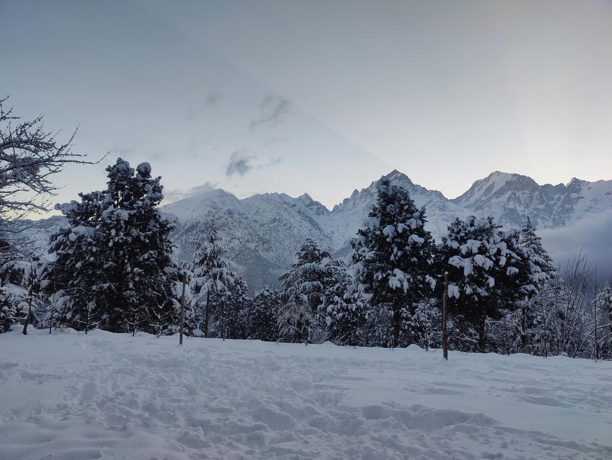 Silk Route Home Stay Kalpa Dış mekan fotoğraf